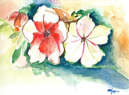 Fiori 